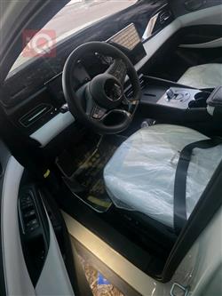 بي واي دي سيل 06 DM-i